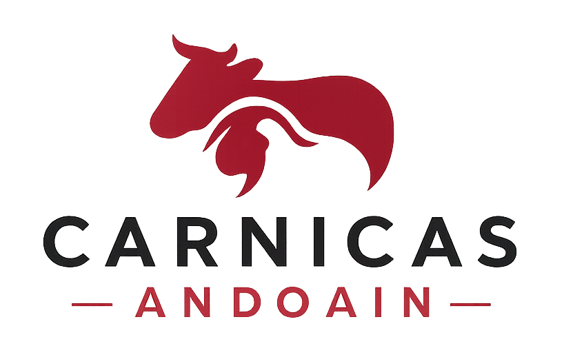 carnicas andoain